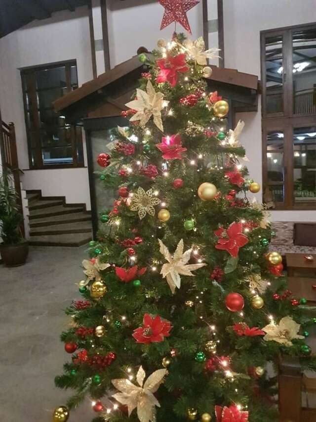 Отель Hotel Tanne Банско-5
